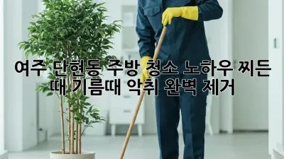 여주 단현동 주방 청소 노하우: 찌든 때, 기름때, 악취 완벽 제거!