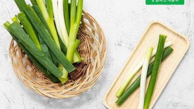 싱싱한 경상북도 대파, 이제 똑똑하게 쇼핑하세요!🥬