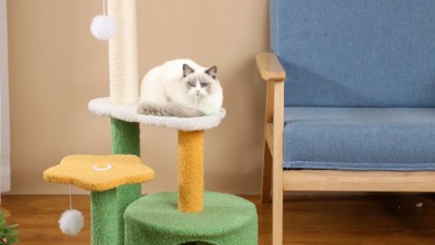 우리집 냥이 행복 터지는 스크래쳐집캣터캣타워 득템 후기!😻